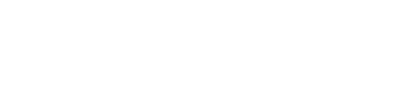 directadmin white logo